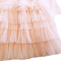 Little Ones Ruffle Mesh Layer Dress