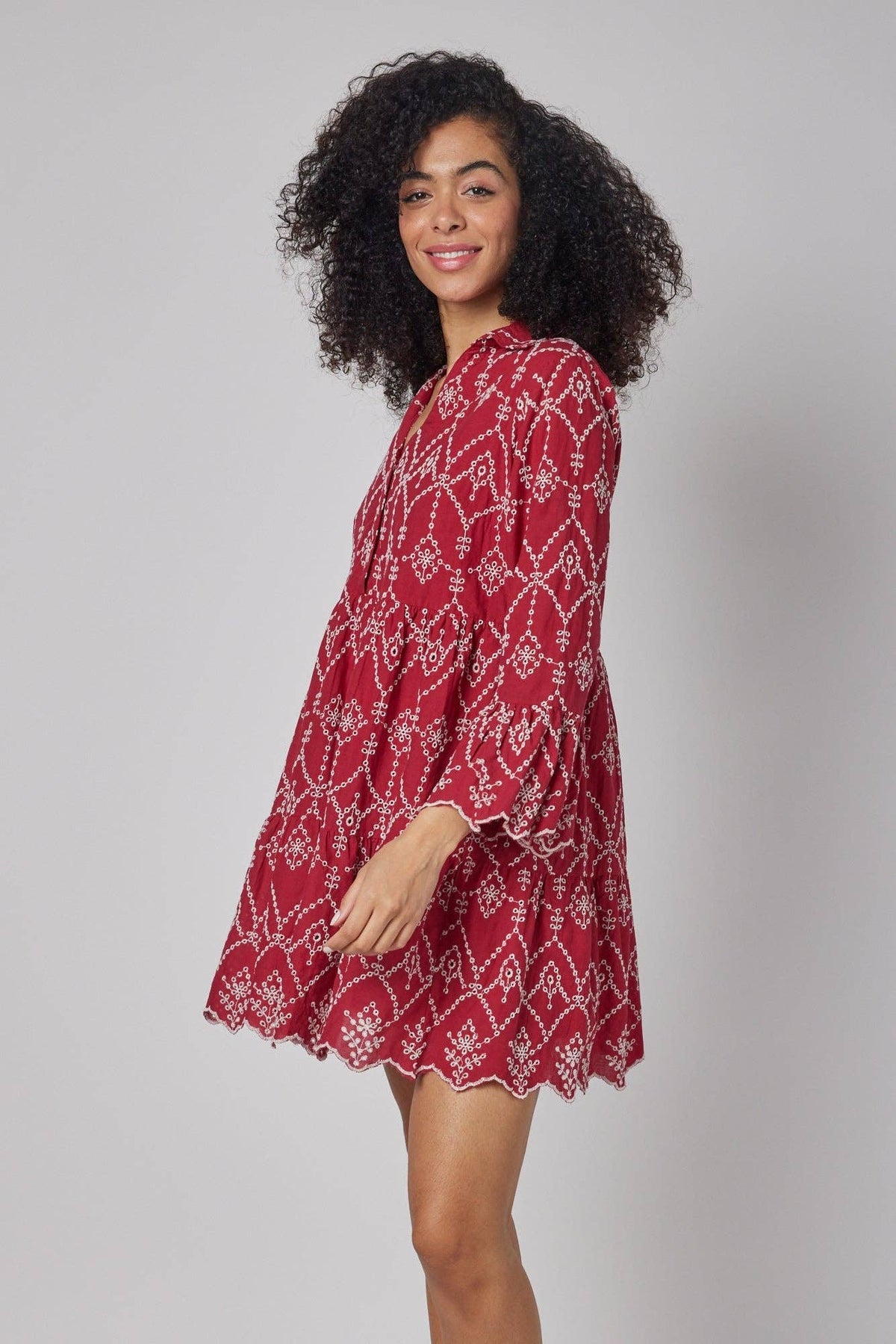 The Cadenza Red Embroidered Dress