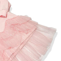 Little Ones Teddy Hooded Dress
