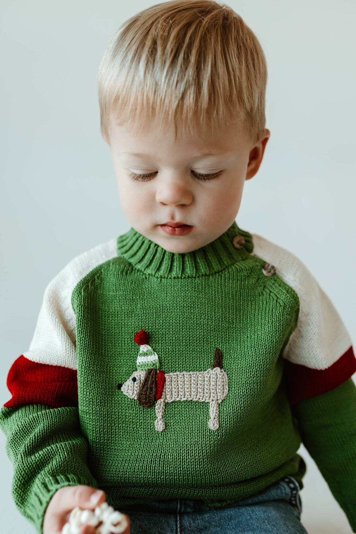 Little Ones Holiday Dog Sweater
