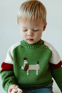 Little Ones Holiday Dog Sweater
