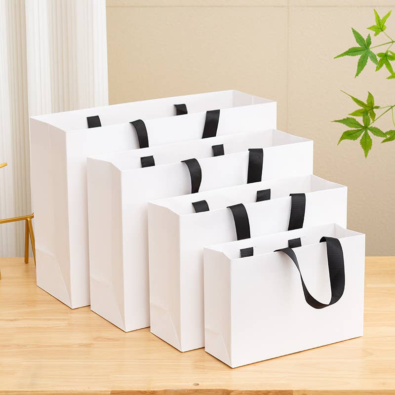 Premium Threaded Rope White Paper Gift Bag w/ free tissue