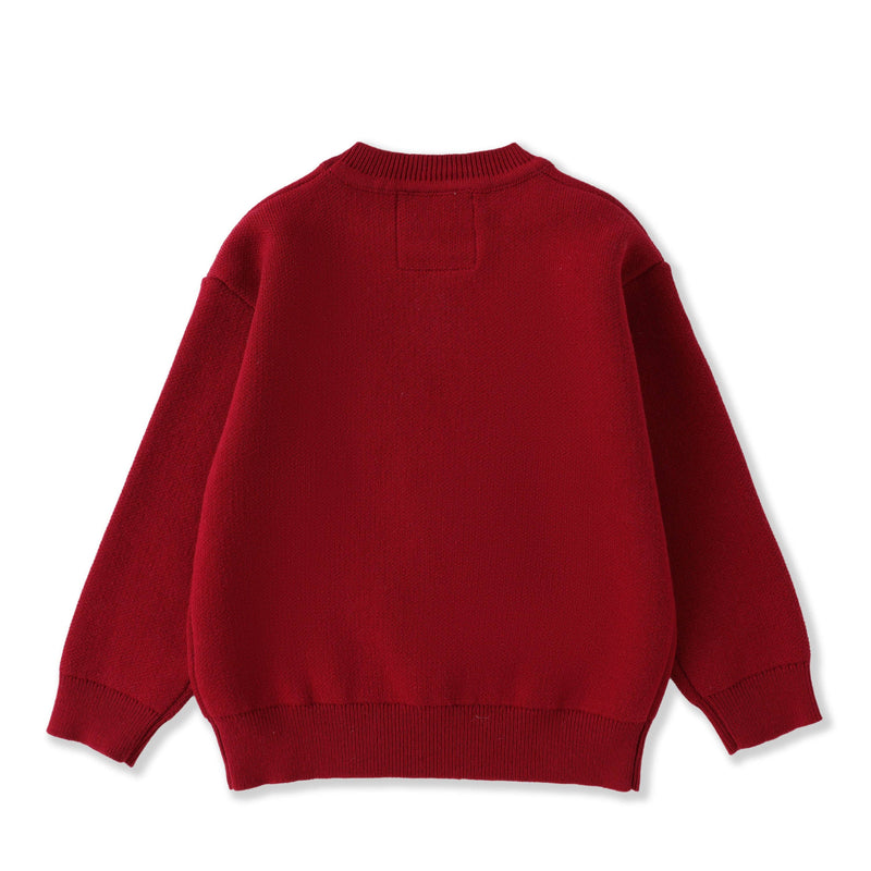 Little Ones Red Santa Christmas Sweater