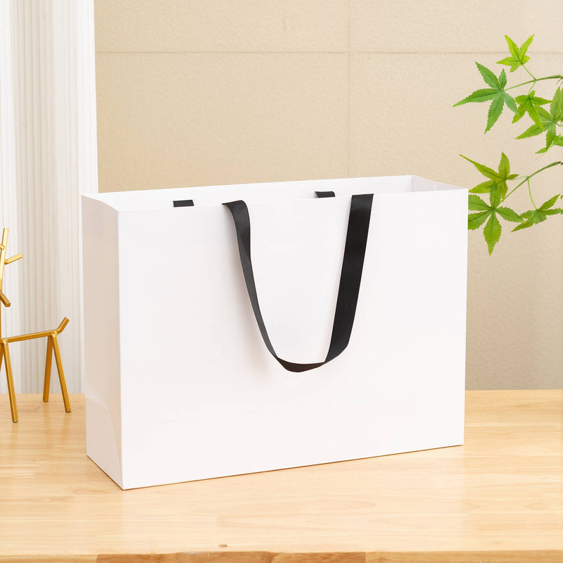Premium Threaded Rope White Paper Gift Bag w/ free tissue