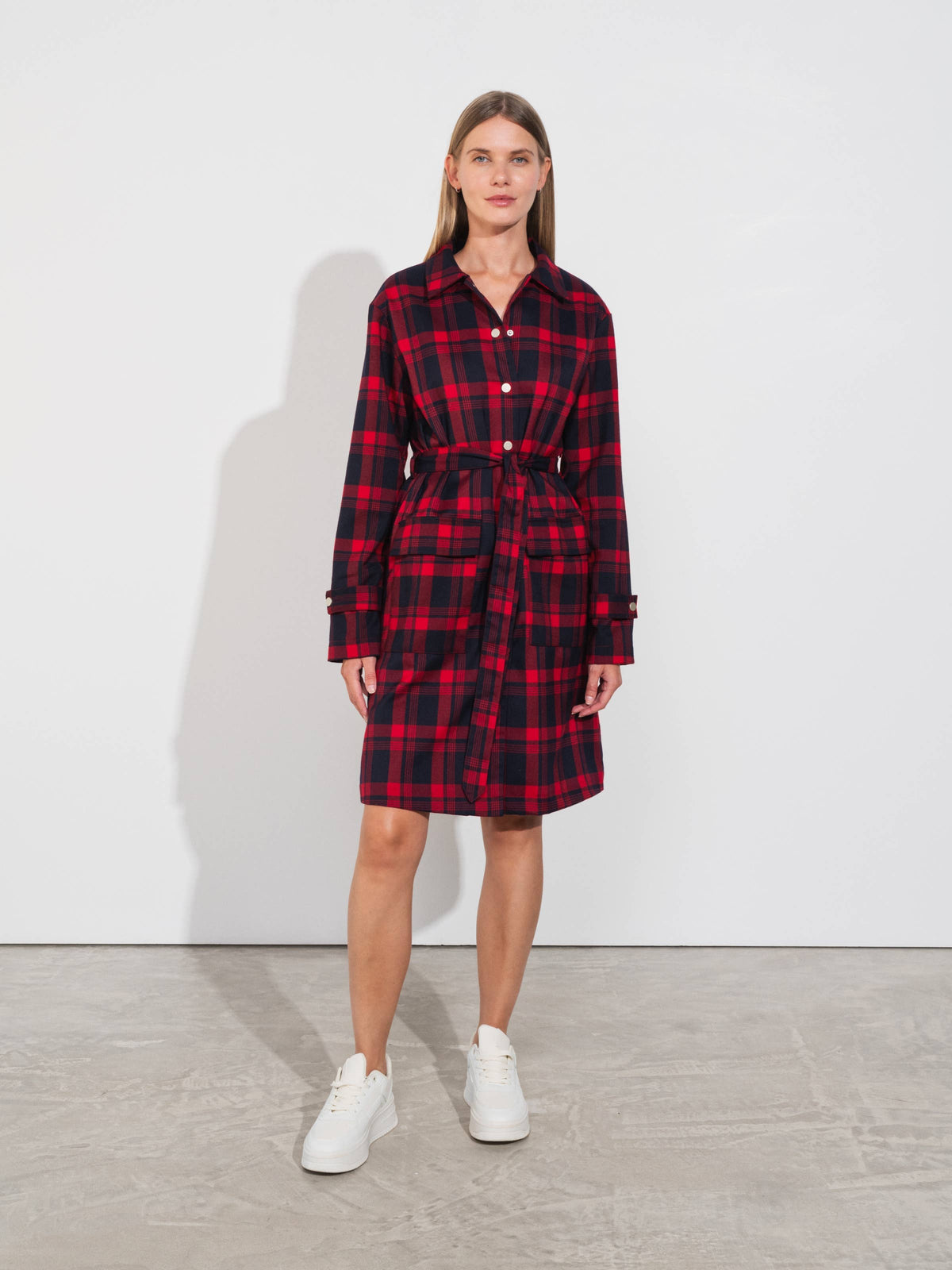 The Cute Plaid Teresa Dress