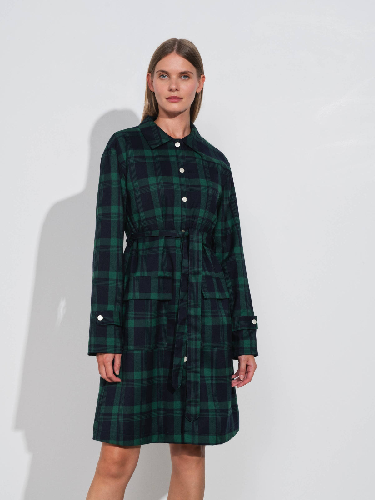 The Cute Plaid Teresa Dress