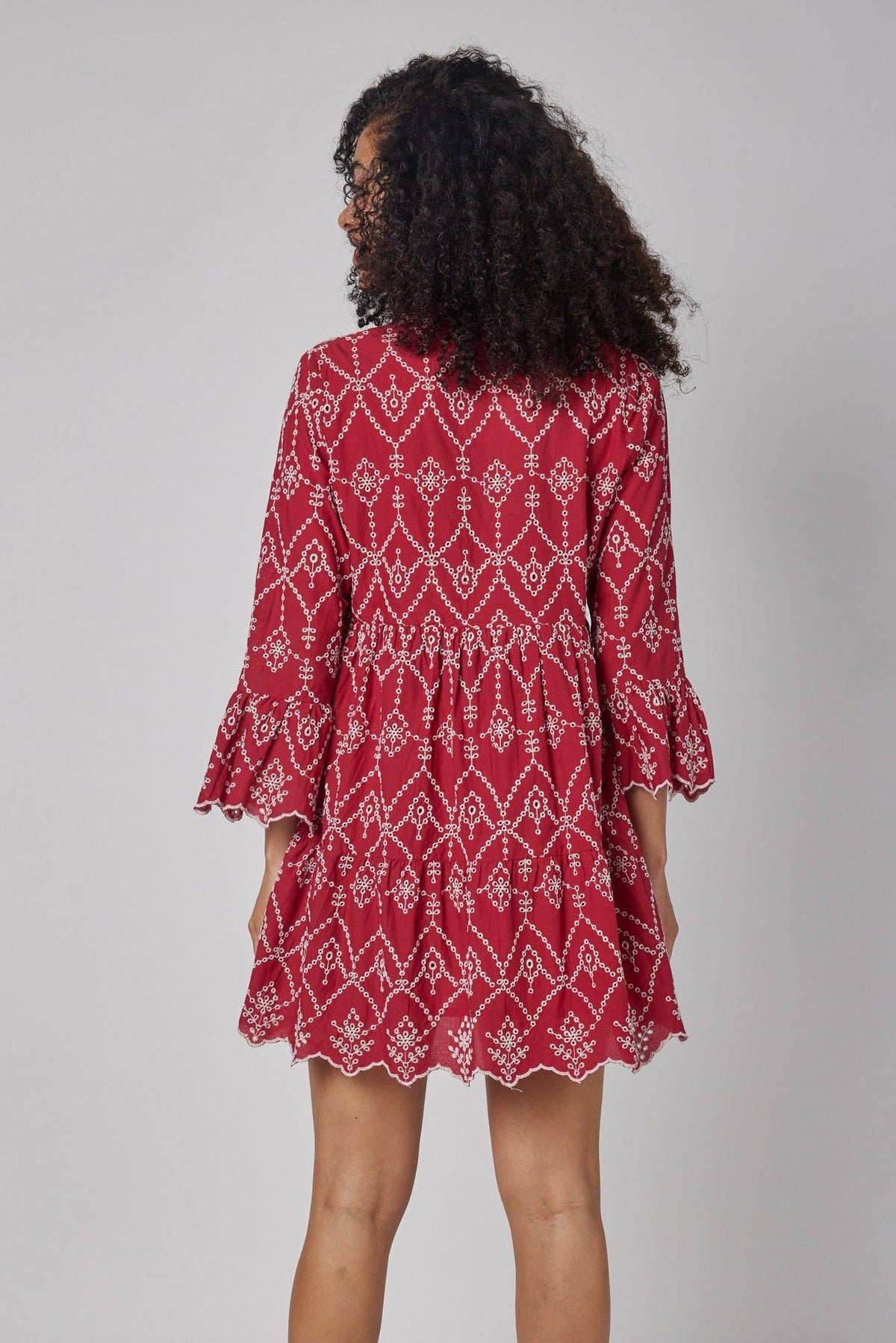 The Cadenza Red Embroidered Dress