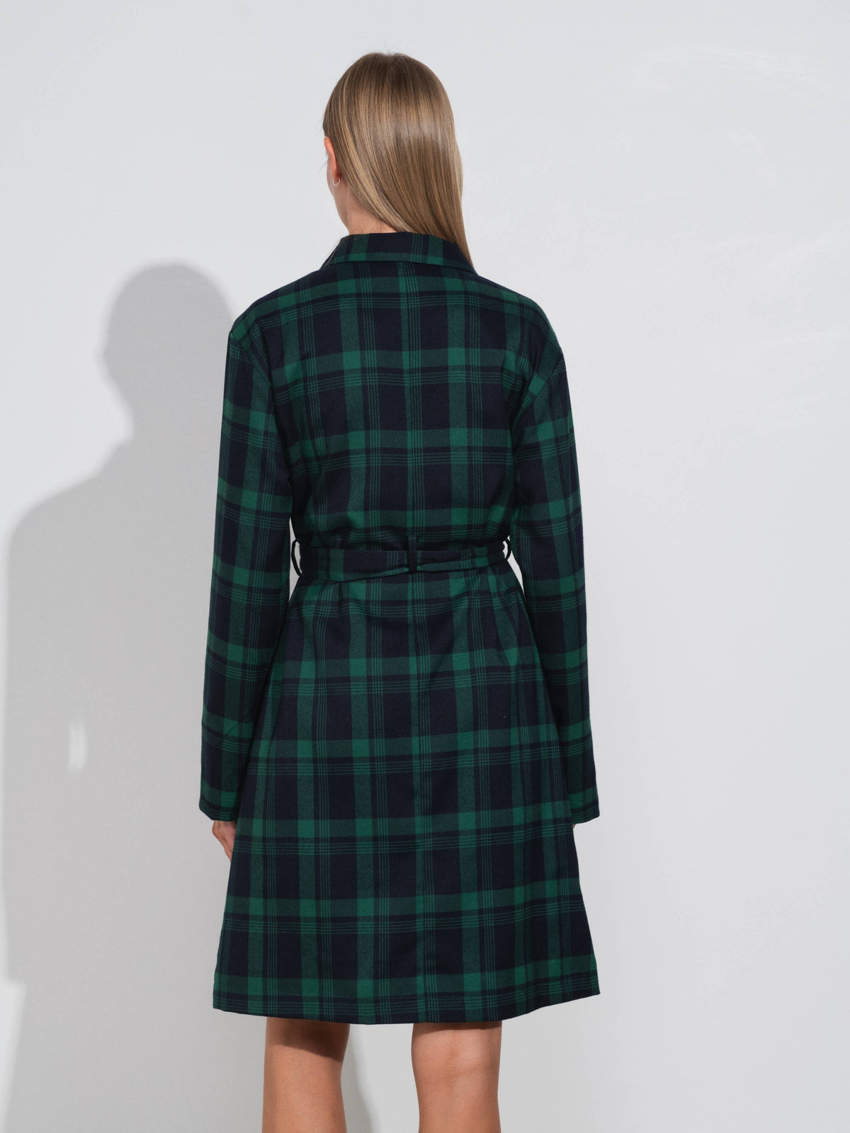 The Cute Plaid Teresa Dress