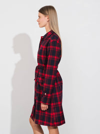 The Cute Plaid Teresa Dress